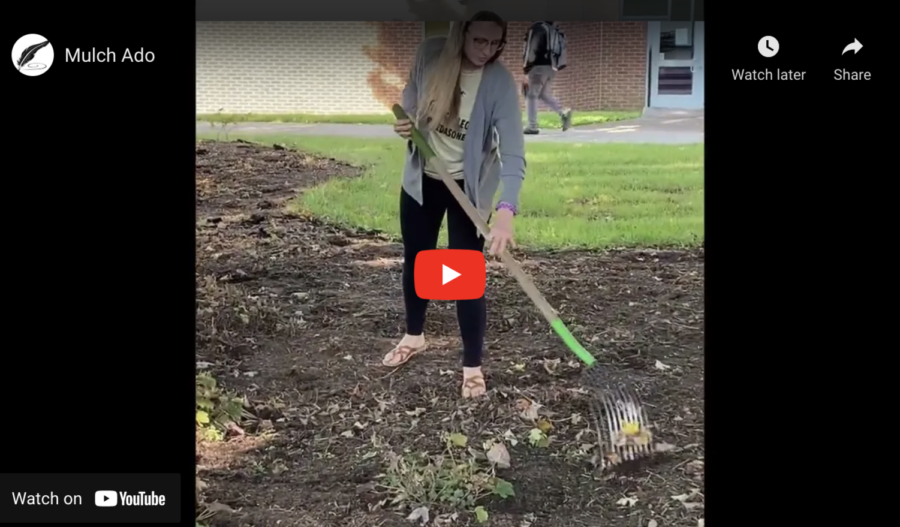 LAWN CARE