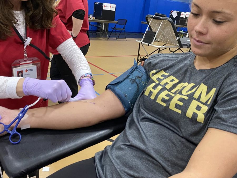 Breanna+Weaver%2C+junior%2C++donates+blood.+