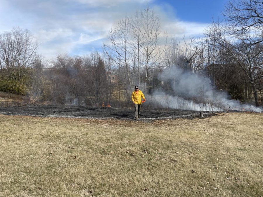 Todd Fredrickson, Forestry and Wildlife professor, surveys the area after the controlled burn.