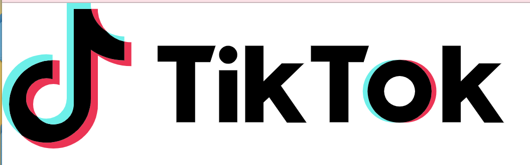 TikTok+has+caused+much+fear+and+uproar+on+some+sides+but+also+support+and+widespread+use+on+others.++