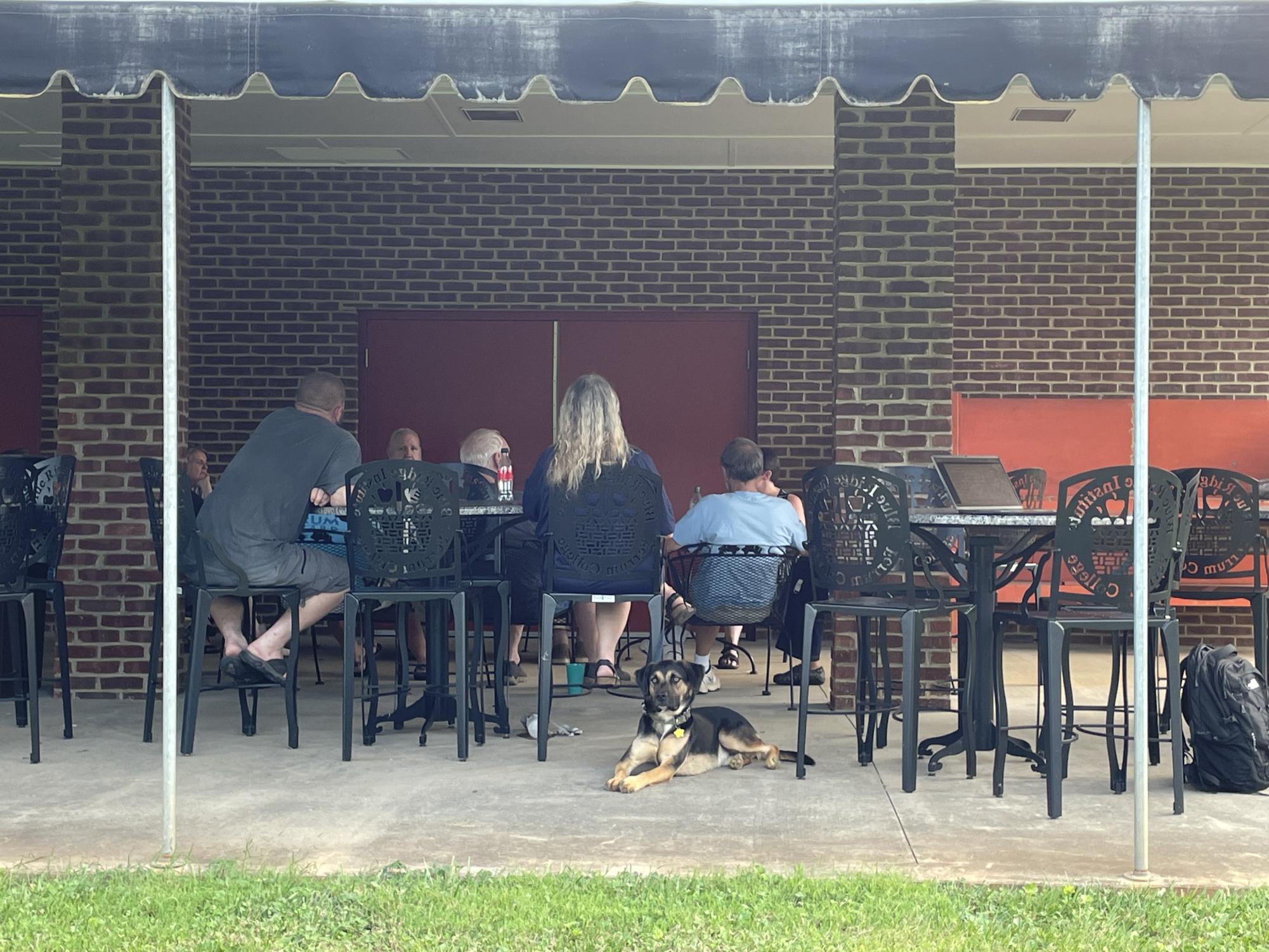 The Ferrum Forward Committee holds its August meeting on a crips summer evening beneath the back porch of the Blue Ridge Institute and Museum. 