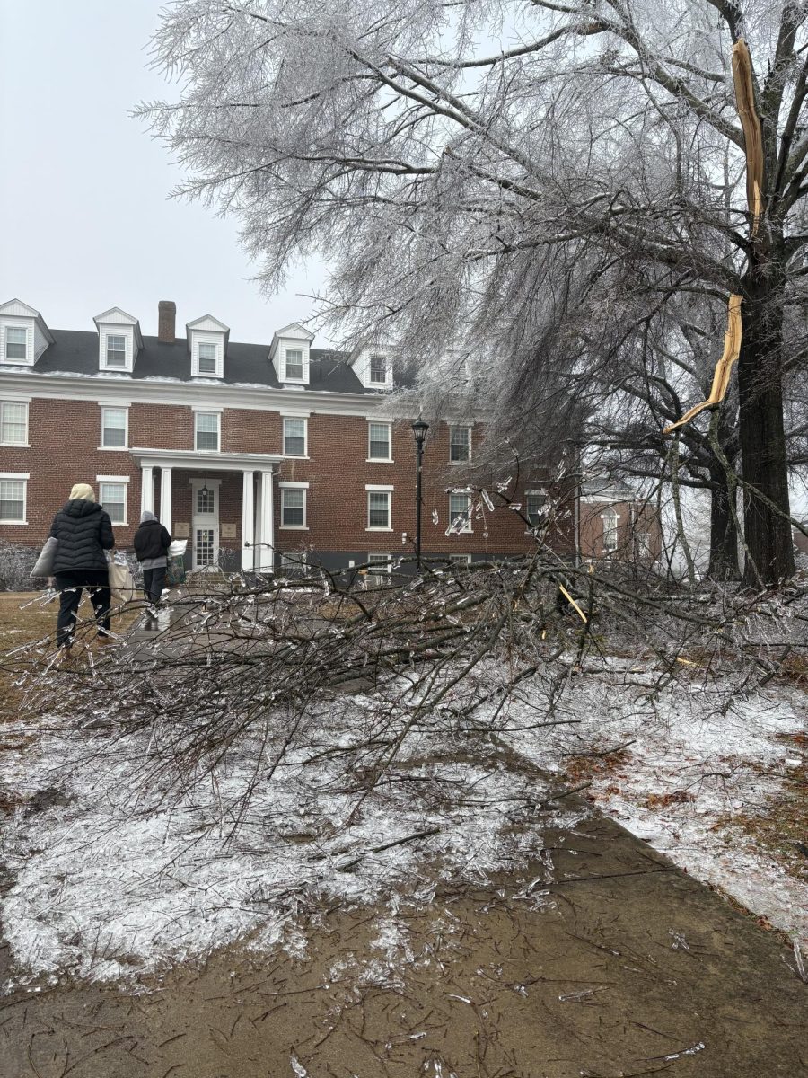 Ice, fallen trees, and power outages overtake both the campus and the surrounding area as a result of the winter weather. 