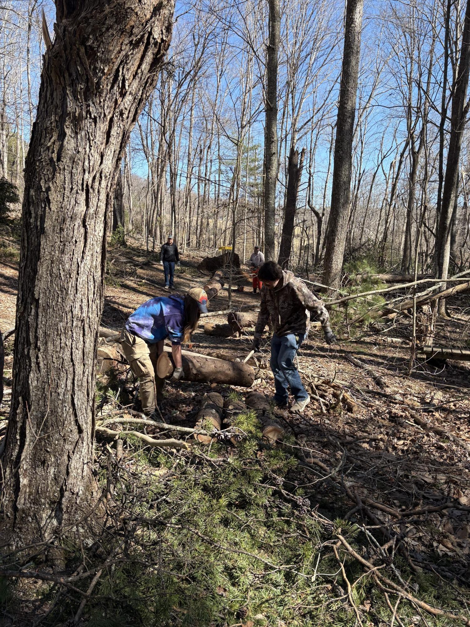 Members of the Disc Golf club saw and remove debris on the fairway of the campus disc golf course. Many trees were downed along the course due to the recent ice storm.