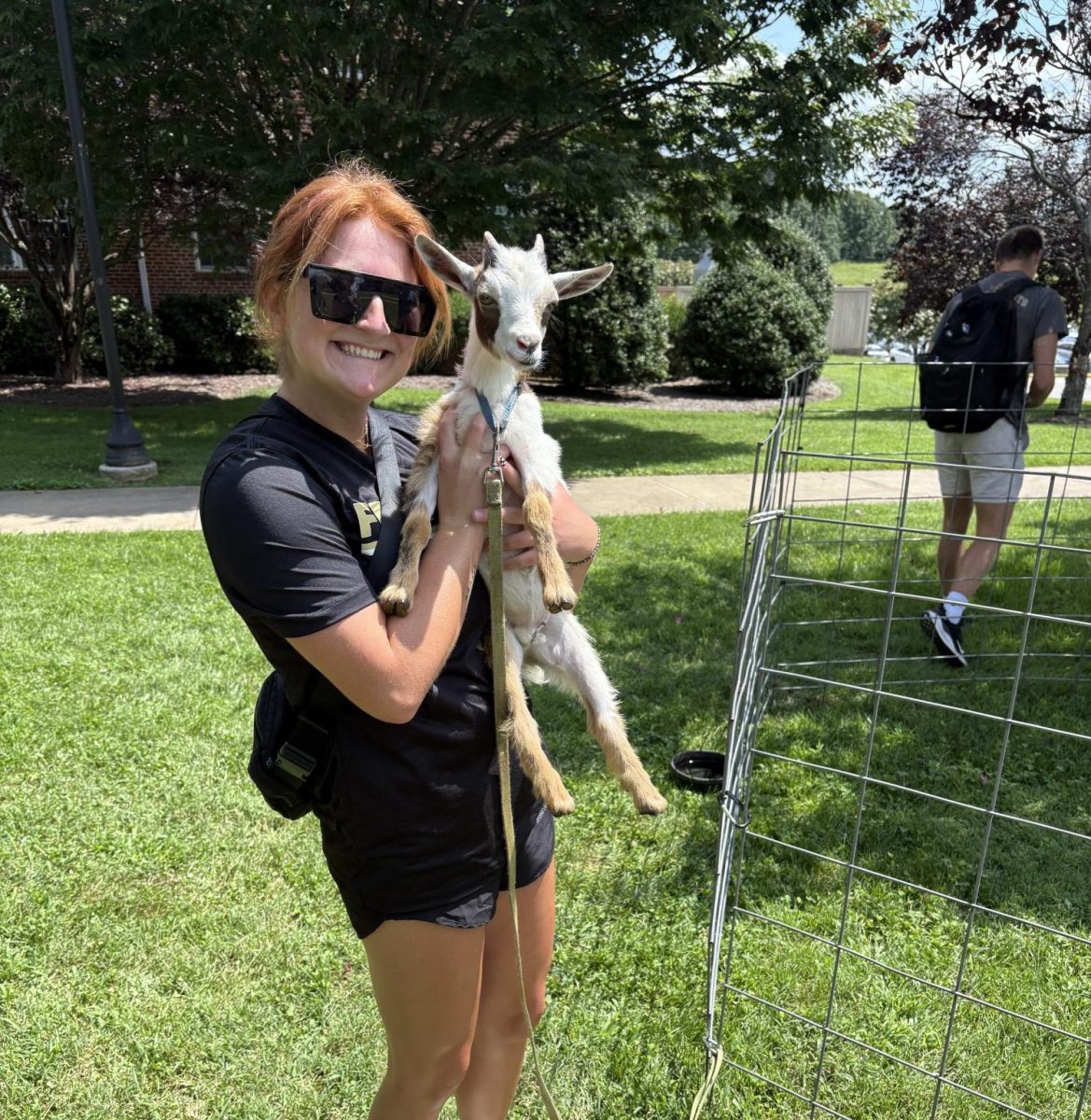 Emily Hopper, junior, holds a goat at the petting zoo on Friday in the Quad. 