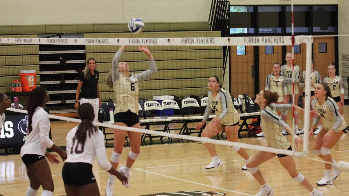Sophomore Harleigh Propst sets the ball.